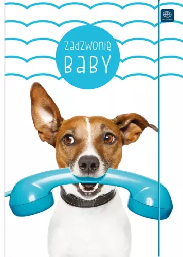 Teczka z gumką A4, mix wzorów - Papiernicze i szkolne