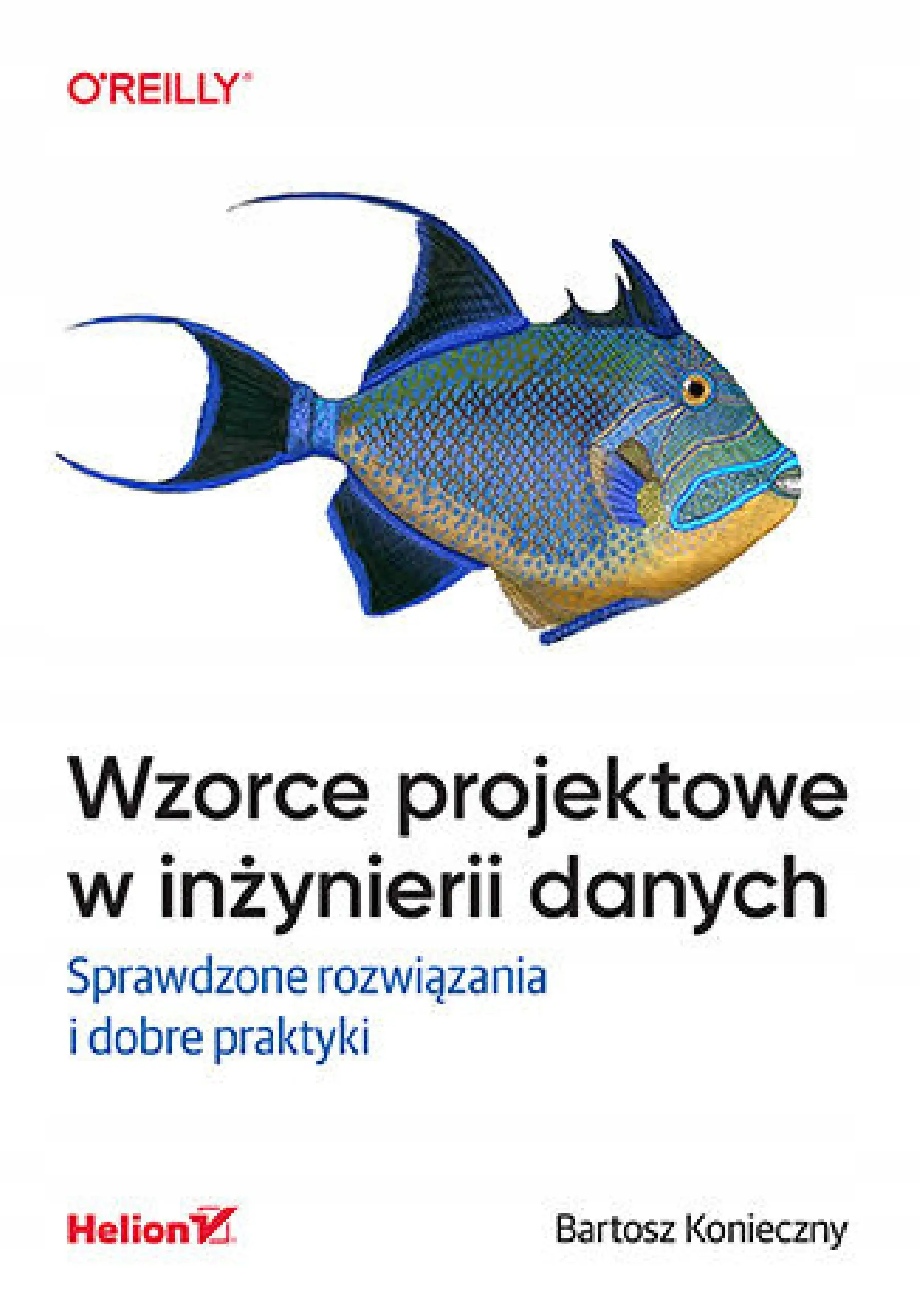 Wzorce projektowe w inżynierii danych. Sprawdzone rozwiązania i dobre praktyki - Książki