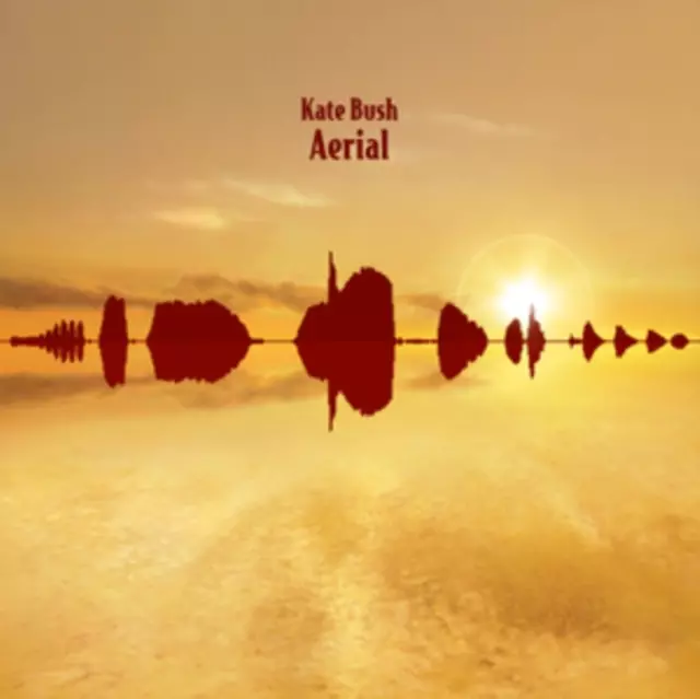 AERIAL. Winyl - Muzyka