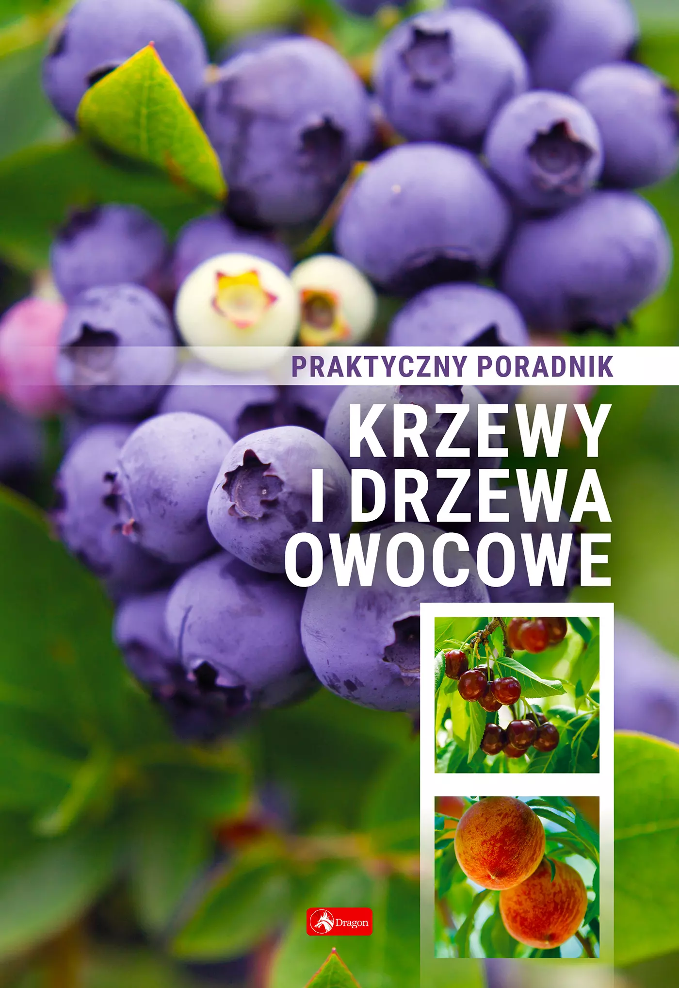 Krzewy i drzewa owocowe. Poradnik praktyczny. - Książki