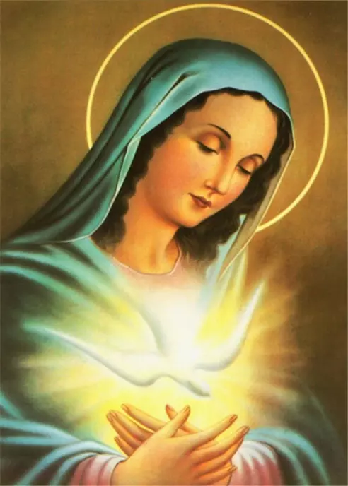 Diamentowa mozaika Matka boska z gołąbkiem NO-1007127 - Zabawki