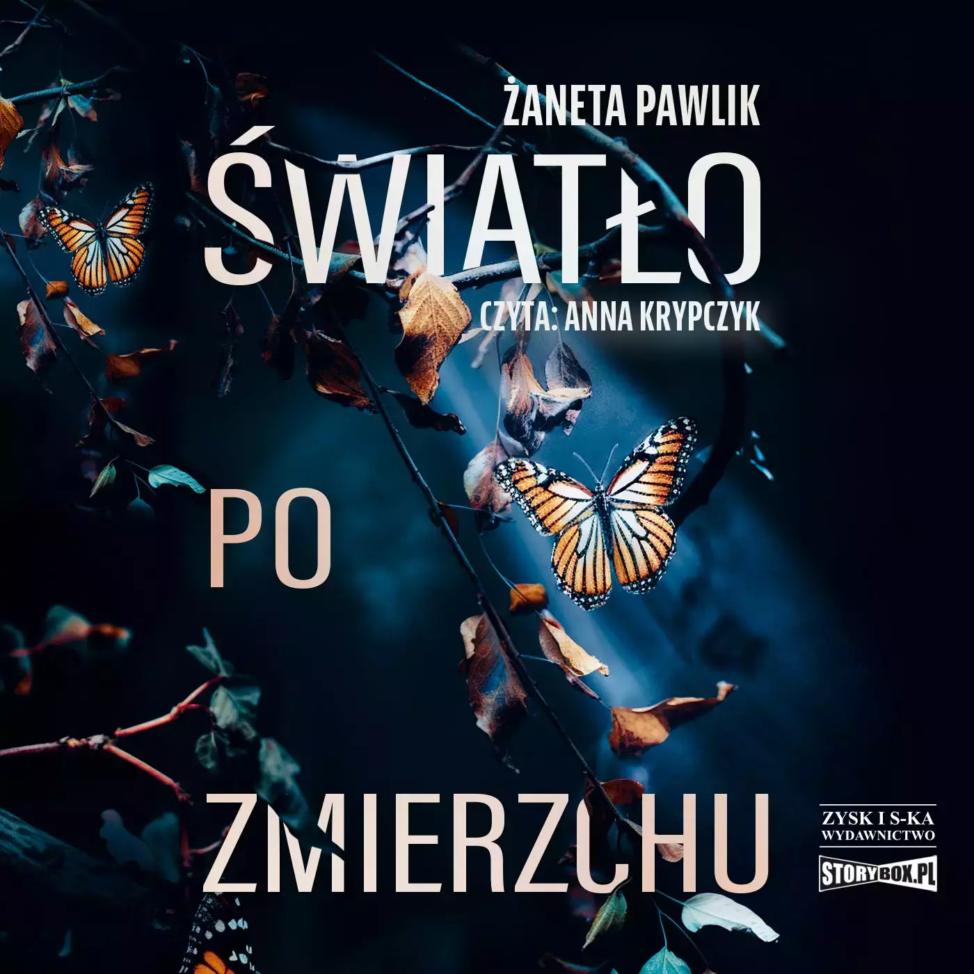 CD MP3 Światło po zmierzchu - Audiobooki