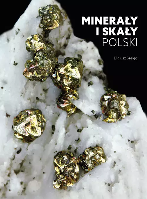 Minerały i skały Polski - Książki