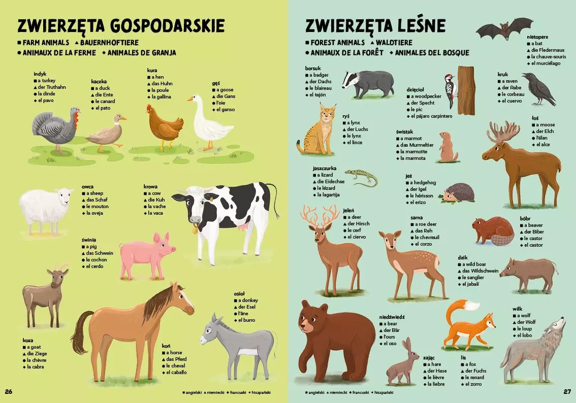 Pierwszy słownik dla małych geniuszy. Odkryj świat w 5 językach - Książki