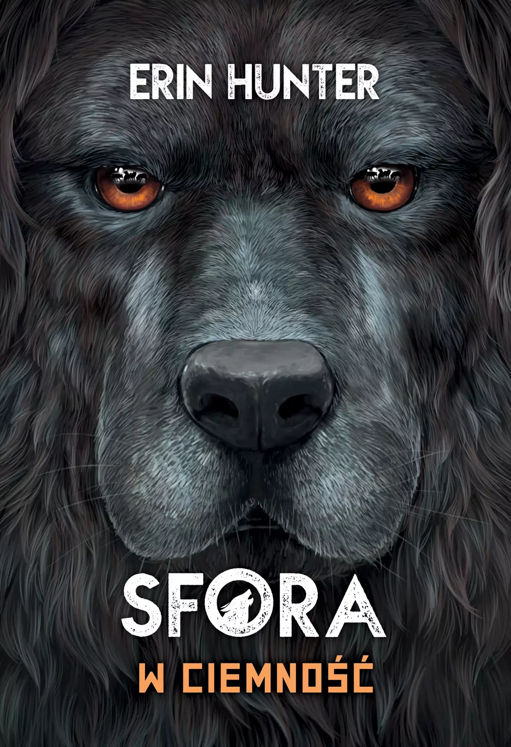 Sfora. Tom 3. W ciemność - Książki