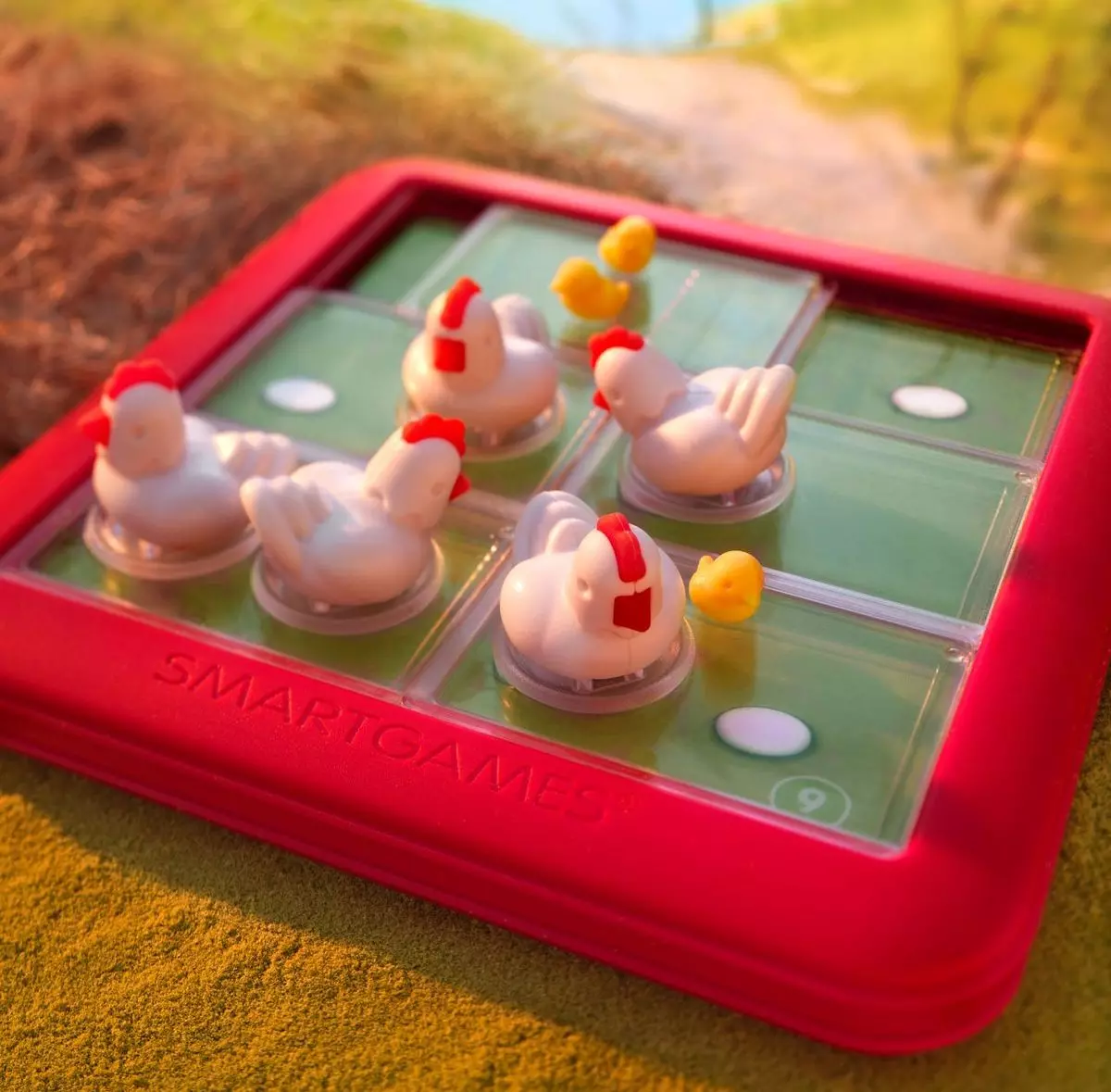 Smart Games. Chicken Shuffle Jr. (werska angielska) - Gry