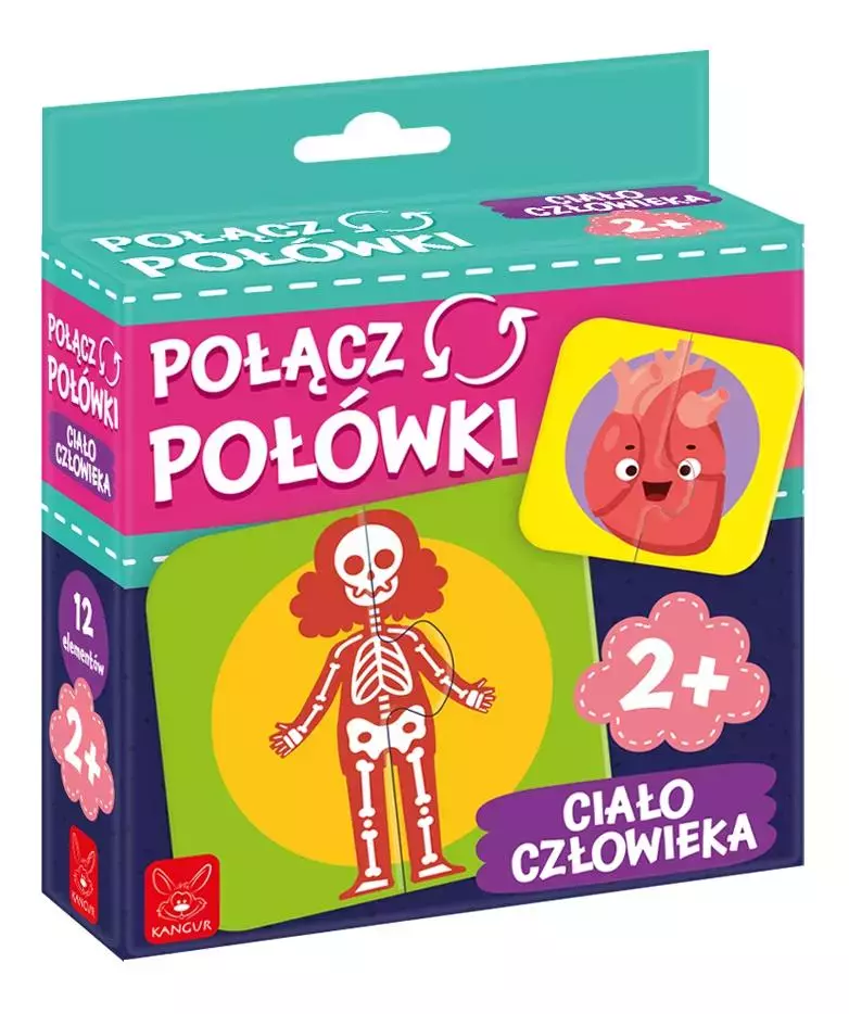 Połącz połówki Ciało Człowieka - Zabawki
