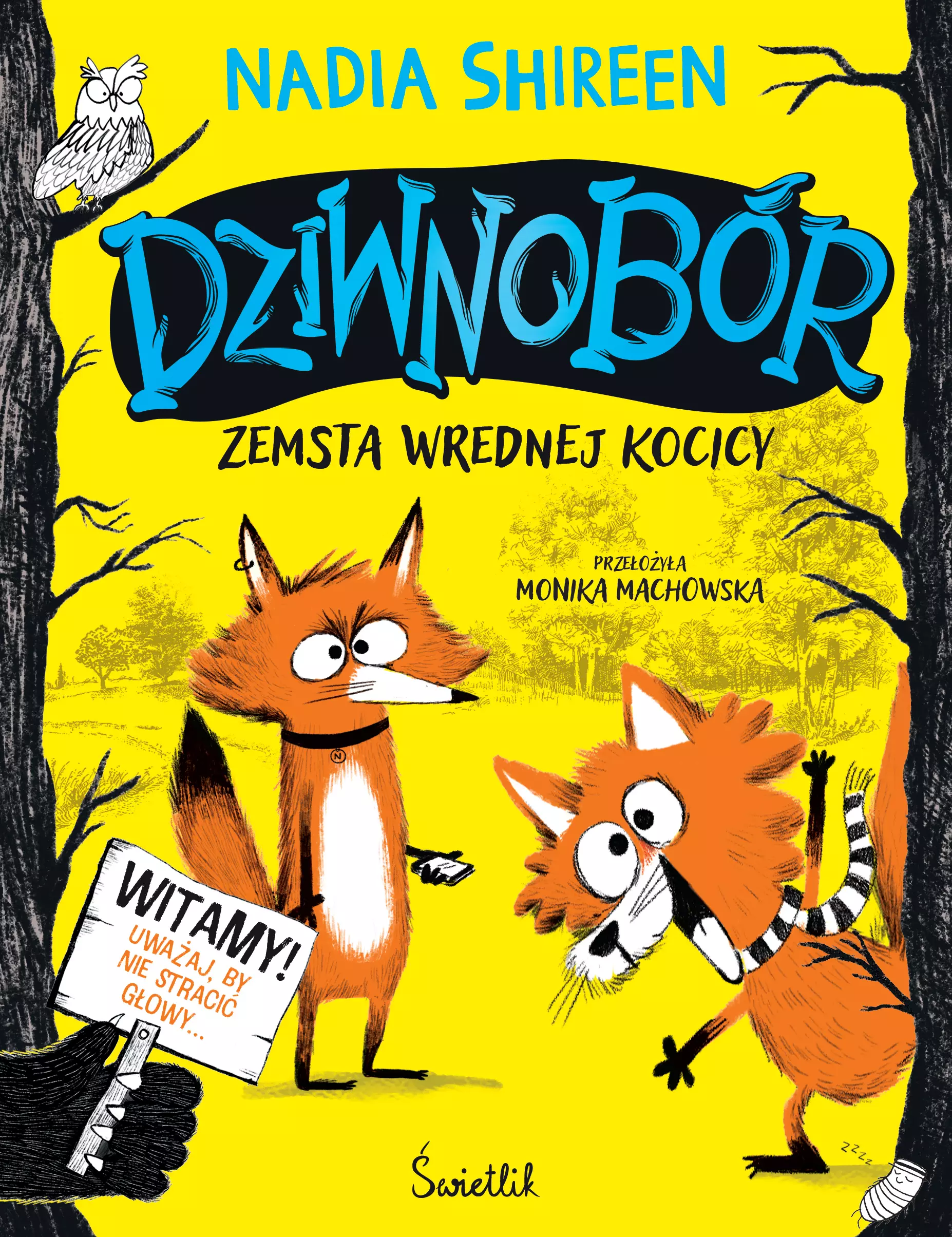 Dziwnobór. Tom 1. Zemsta wrednej kocicy - Książki
