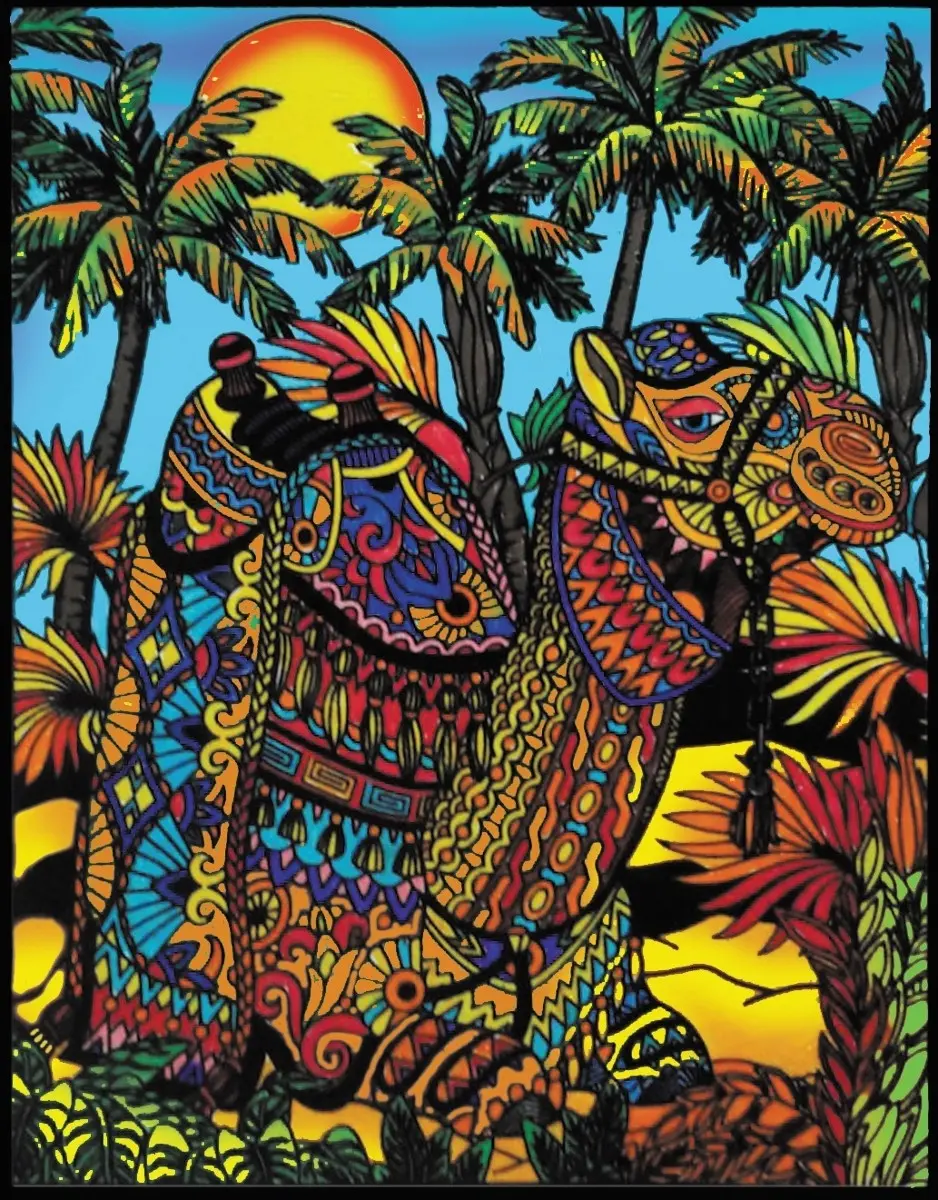 Kolorowanka Welwetowa 47x35 Wielbłąd - Książki