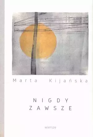 Nigdy zawsze - Książki