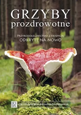 Grzyby prozdrowotne. Przyrodolecznictwo z tradycją odkryte na nowo - Książki