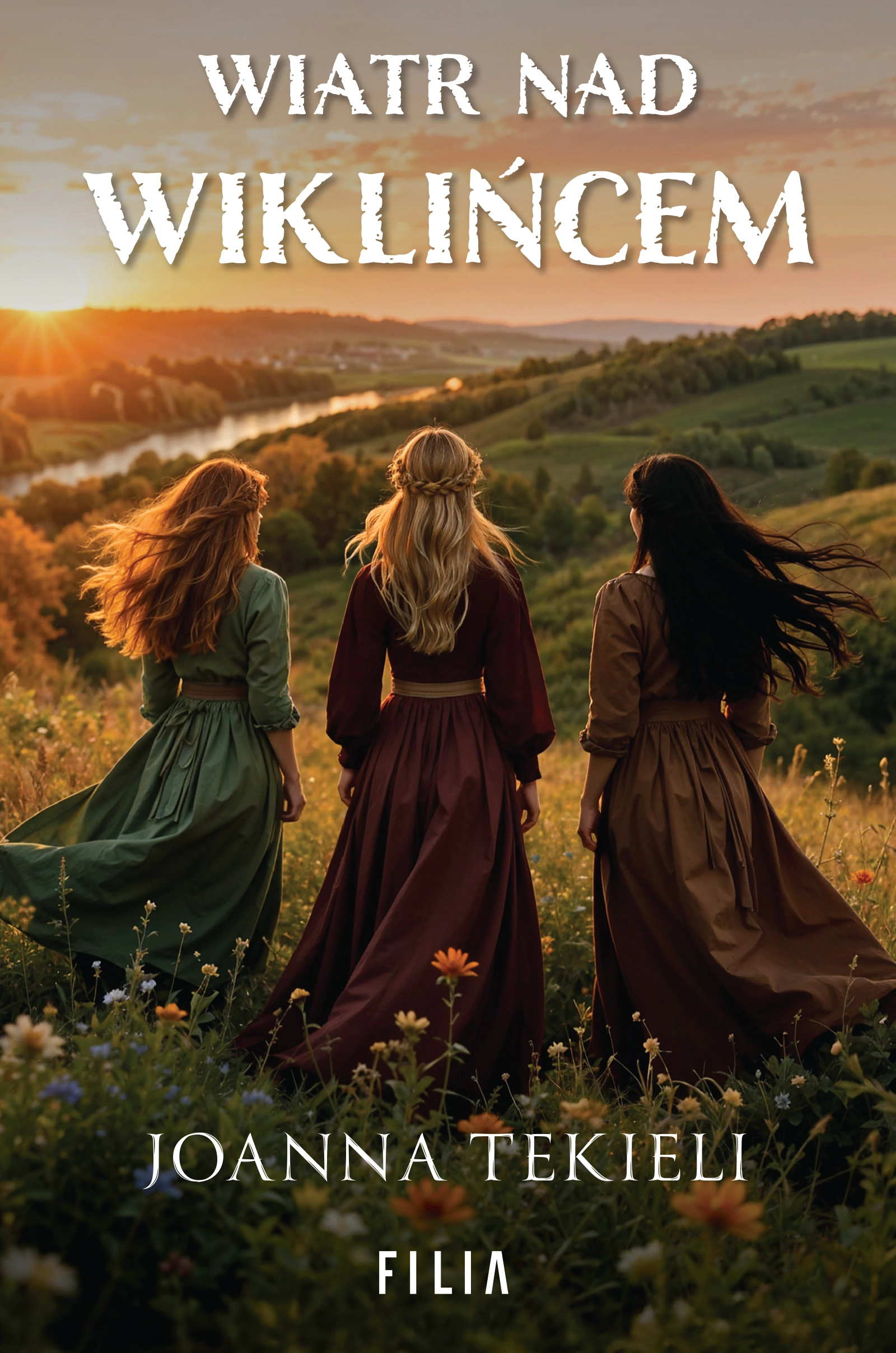 Wiatr nad Wiklińcem - Książki