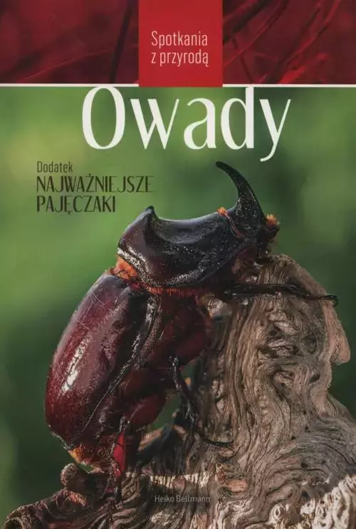 Spotkania z przyrodą. Owady - Książki