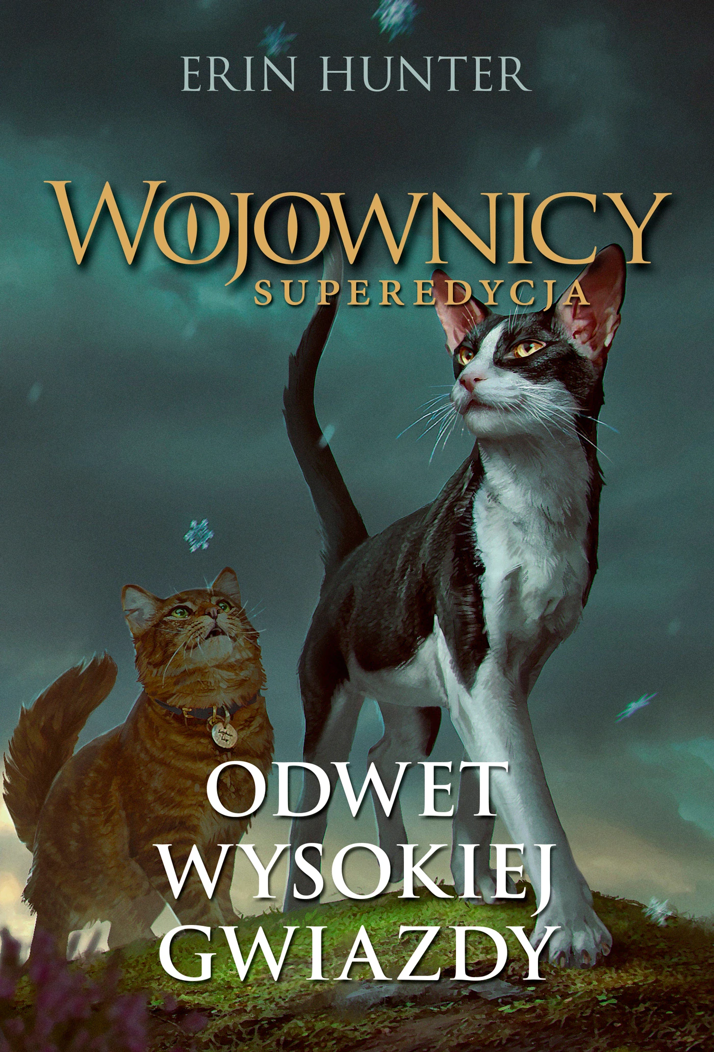 Odwet Wysokiej Gwiazdy. Wojownicy. Superedycja. Tom 4 - Książki