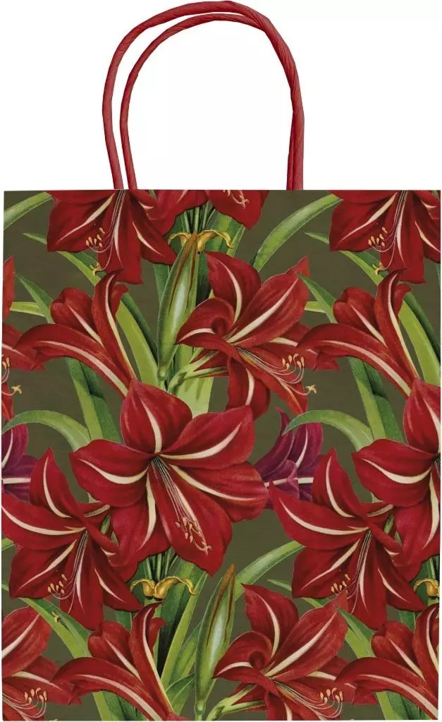 Torebka ozdobna A5 STBAG147 Gwiazda betlejemska - Książki