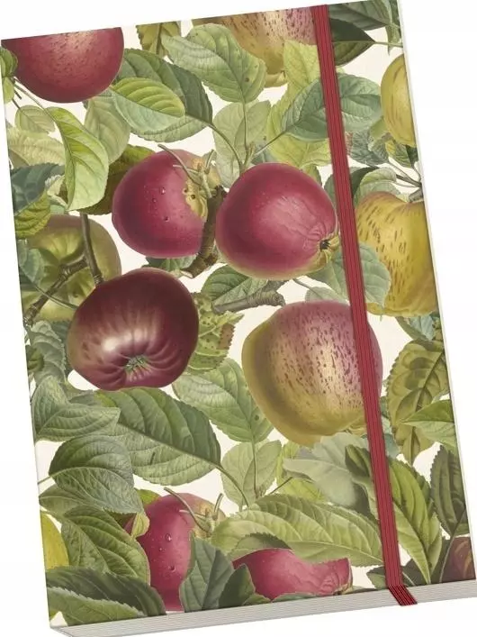 Notatnik ozdobny A5 STNOTE 128 Jabłoń - Książki