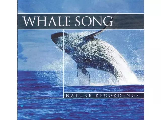 Whale Song - Wieloryby, Nature Recordings, CD - Muzyka