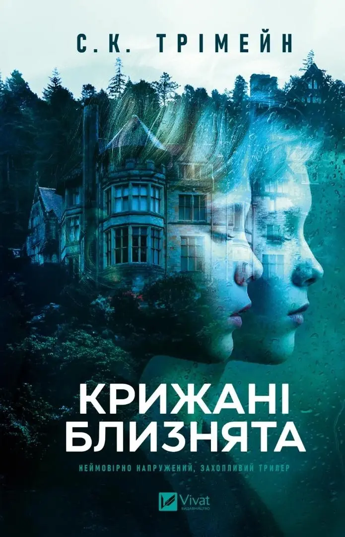 The Ice Twins w.ukraińska - Książki