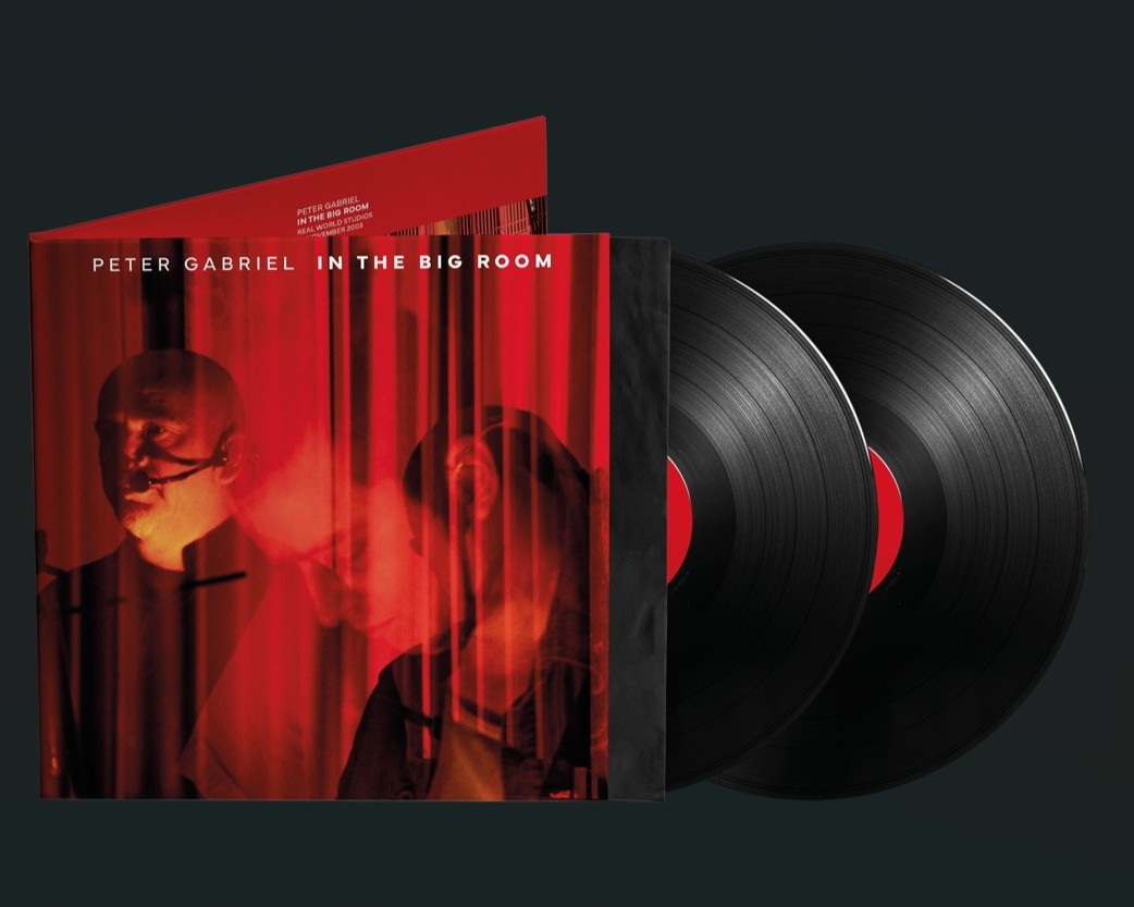 In The Big Room LP, Winyl - Muzyka