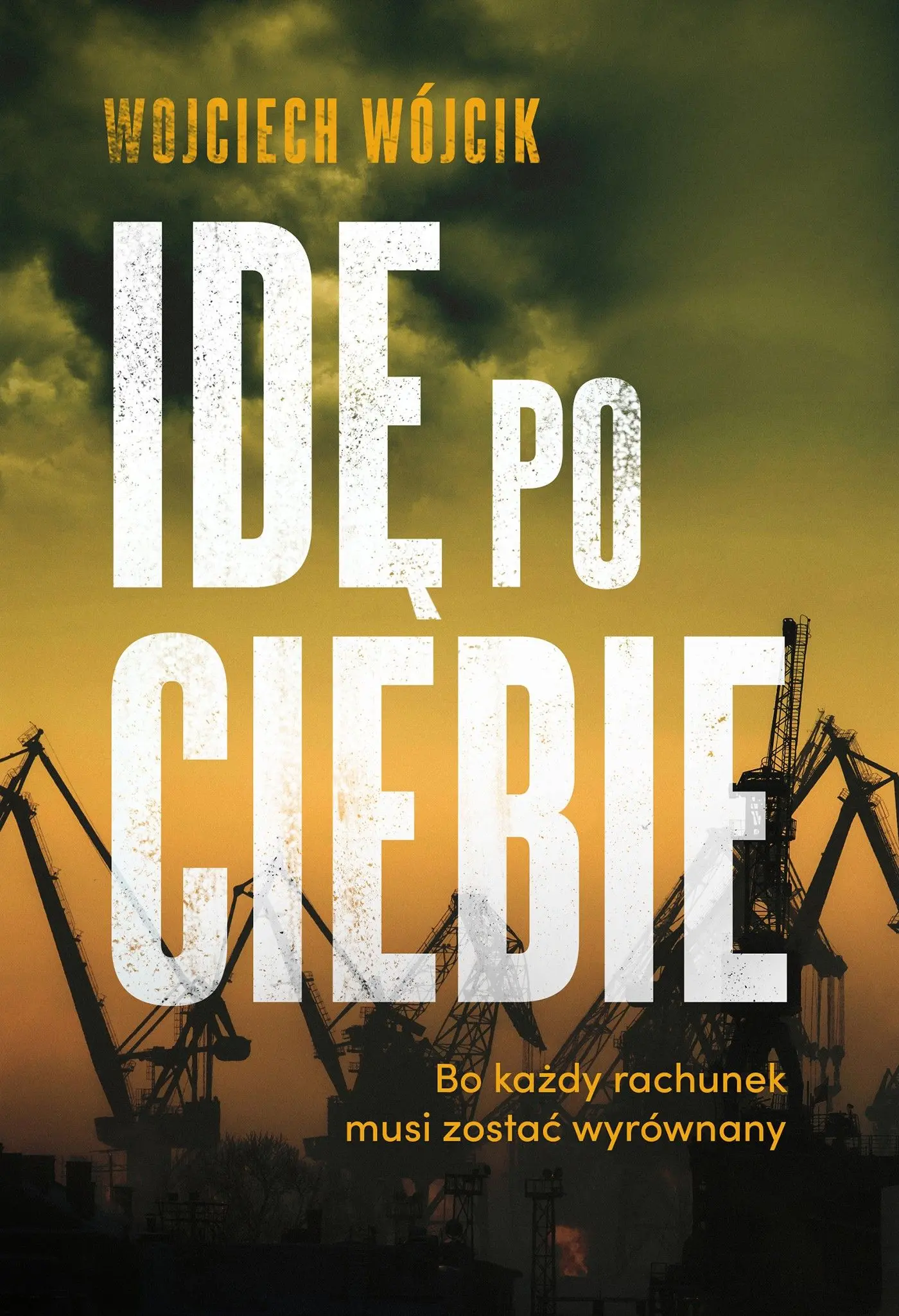 Idę po ciebie - Książki