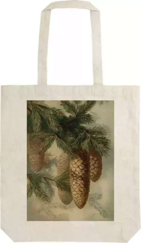 Torba bawełniana STBAG 56 Szyszki jodły - Zabawki