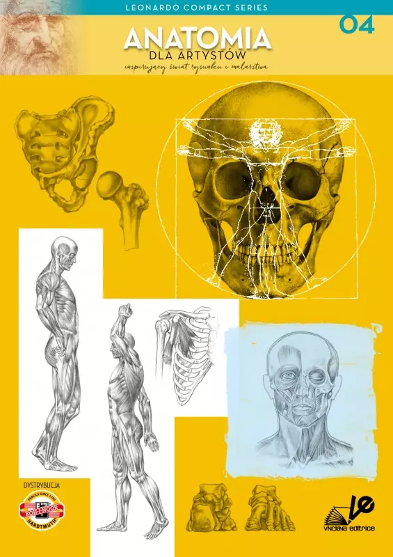 Anatomia dla artystów. Tom 4 Leonardo Compact Series - Książki