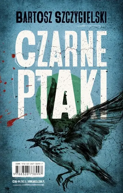 Czarne ptaki - Książki