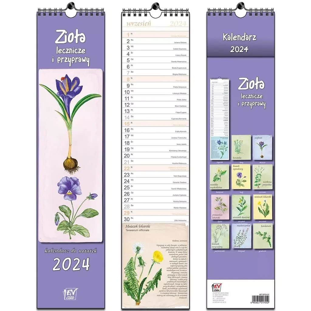 Kalendarz 2024 paskowy 13 planszowy Zioła - Książki