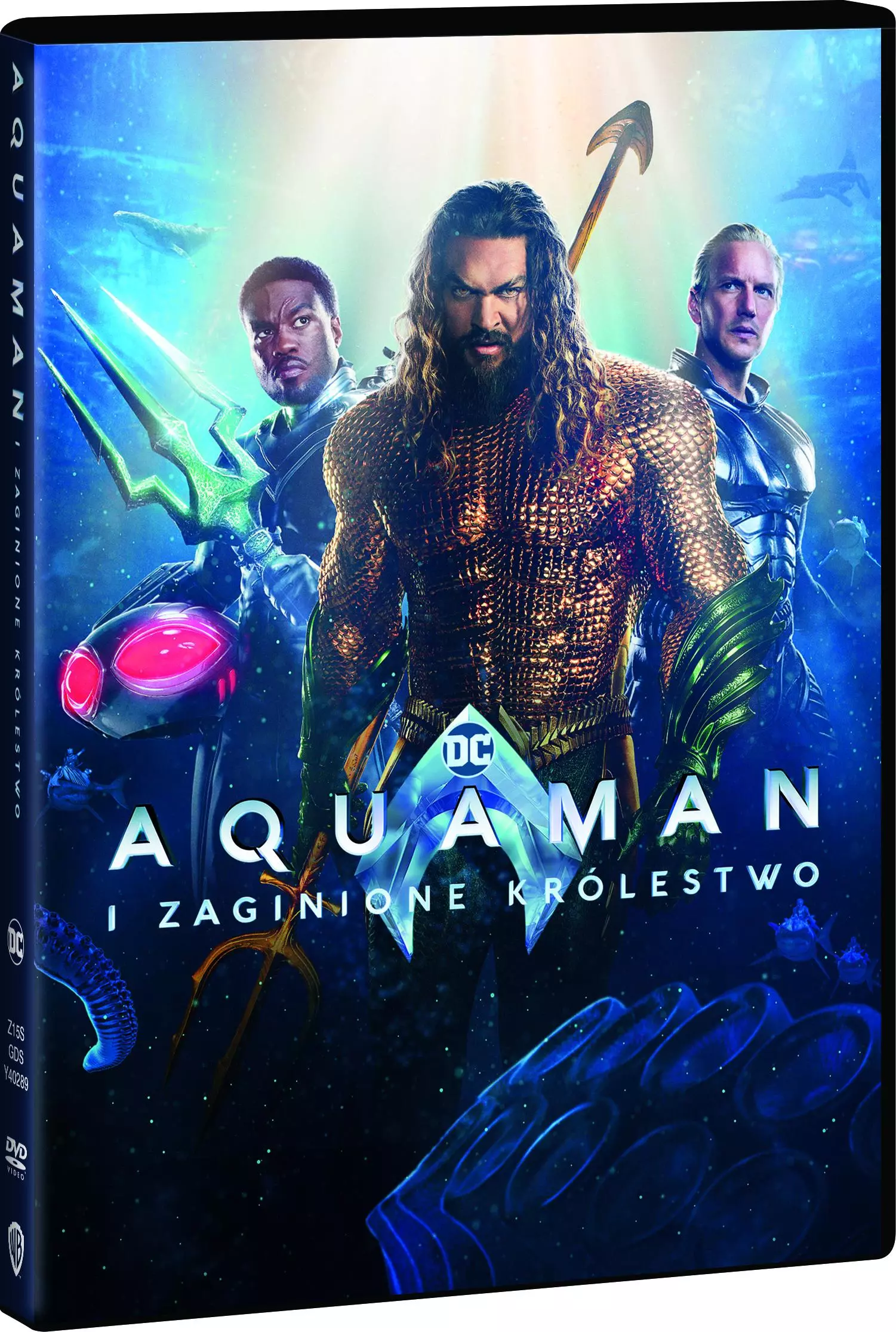 Aquaman i zaginione królestwo, DVD - Filmy