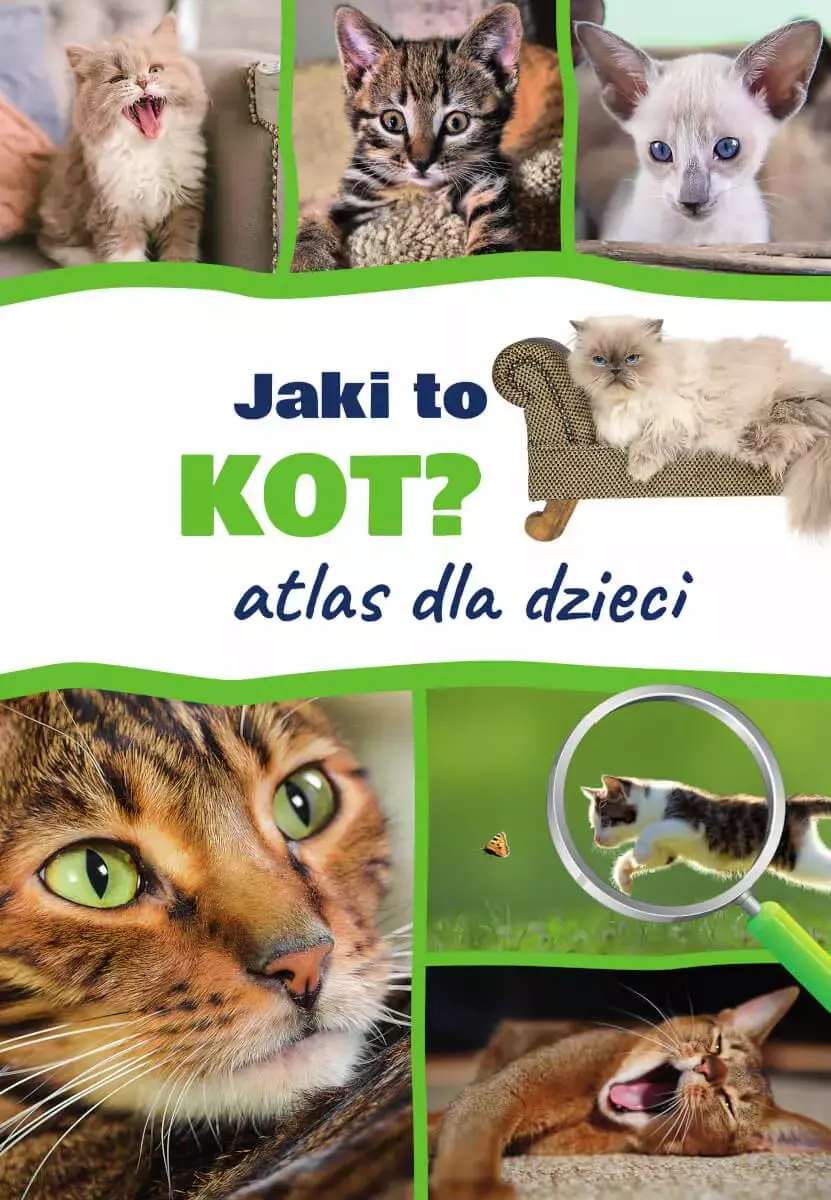 Atlas dla dzieci. Jaki to kot? - Książki