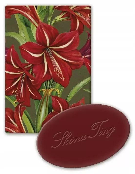 Mydełko ozdobne jabłko Święta Bożego Narodzenia - Książki