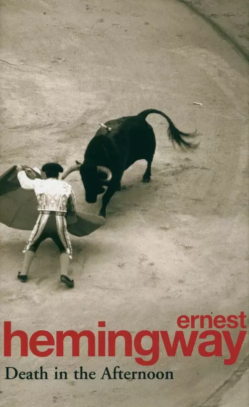 Death in the Afternoon - Książki