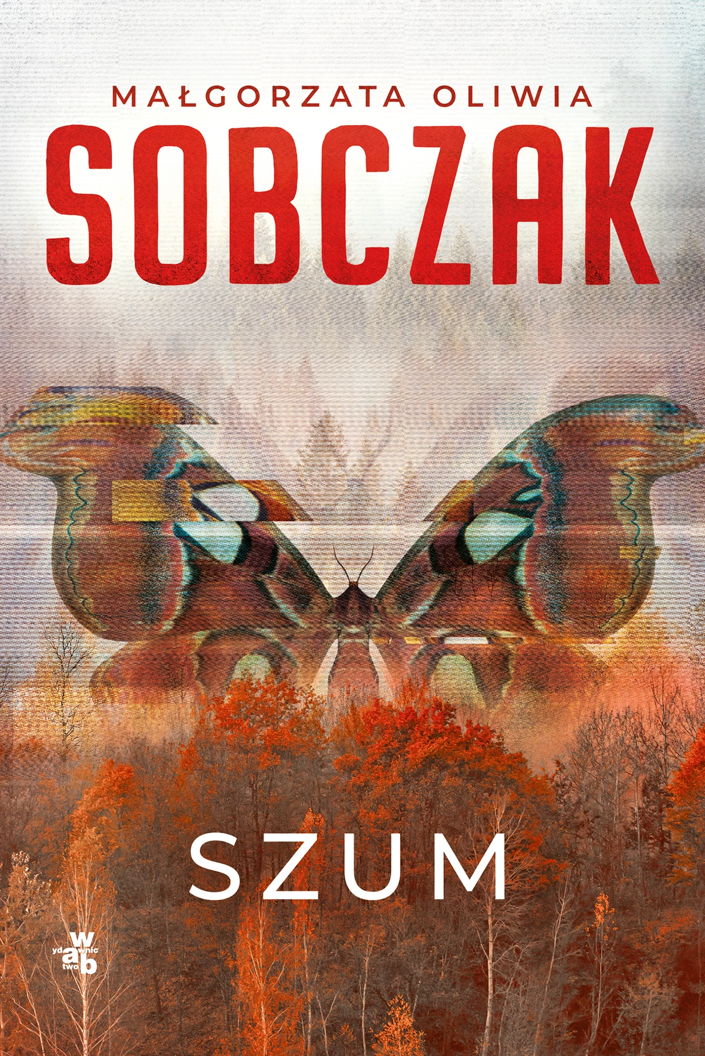 Granice ryzyka. Szum