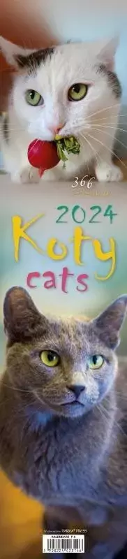 Kalendarz 2024 Koty - Książki