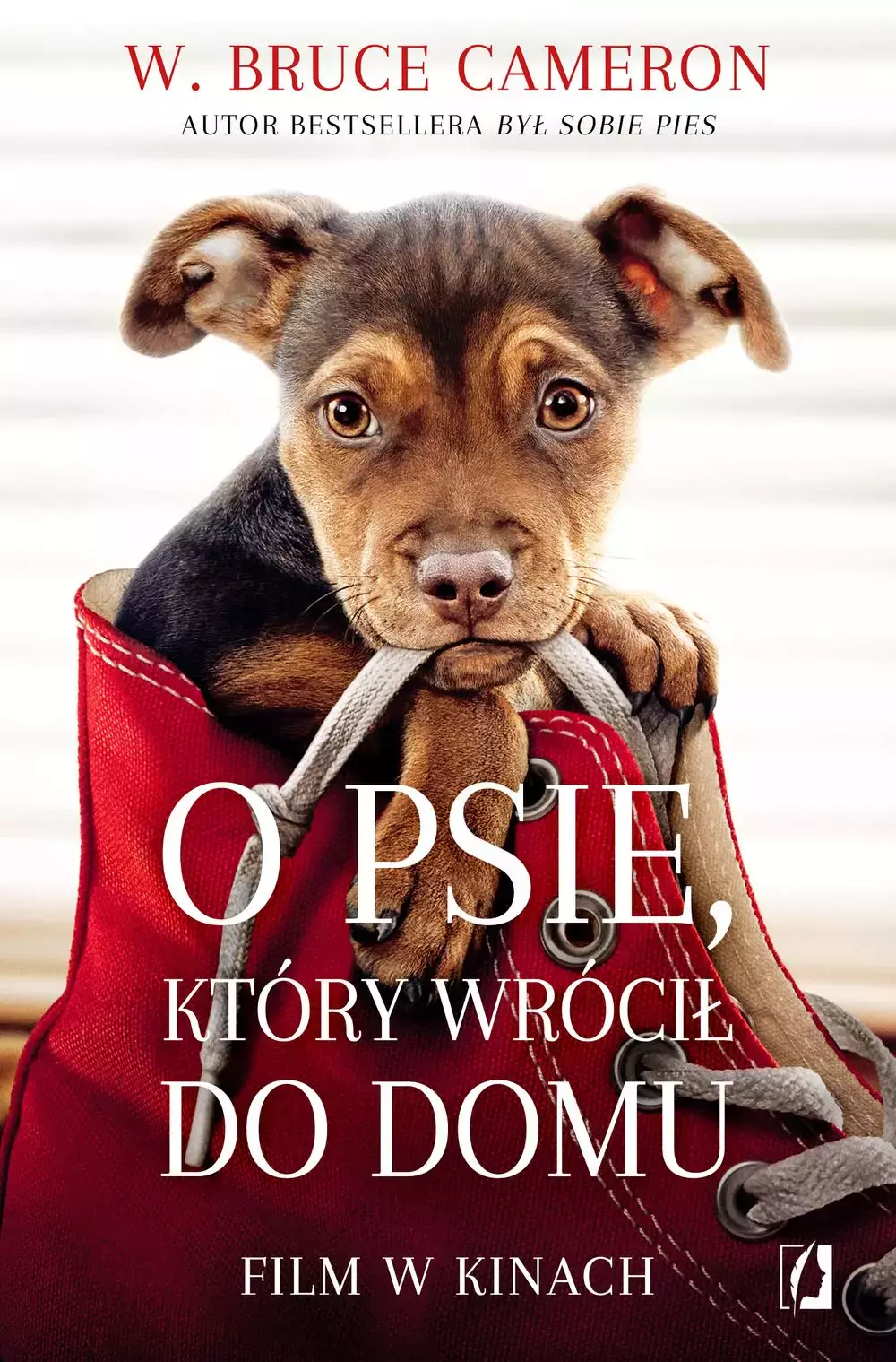 O psie, który wrócił do domu - Książki