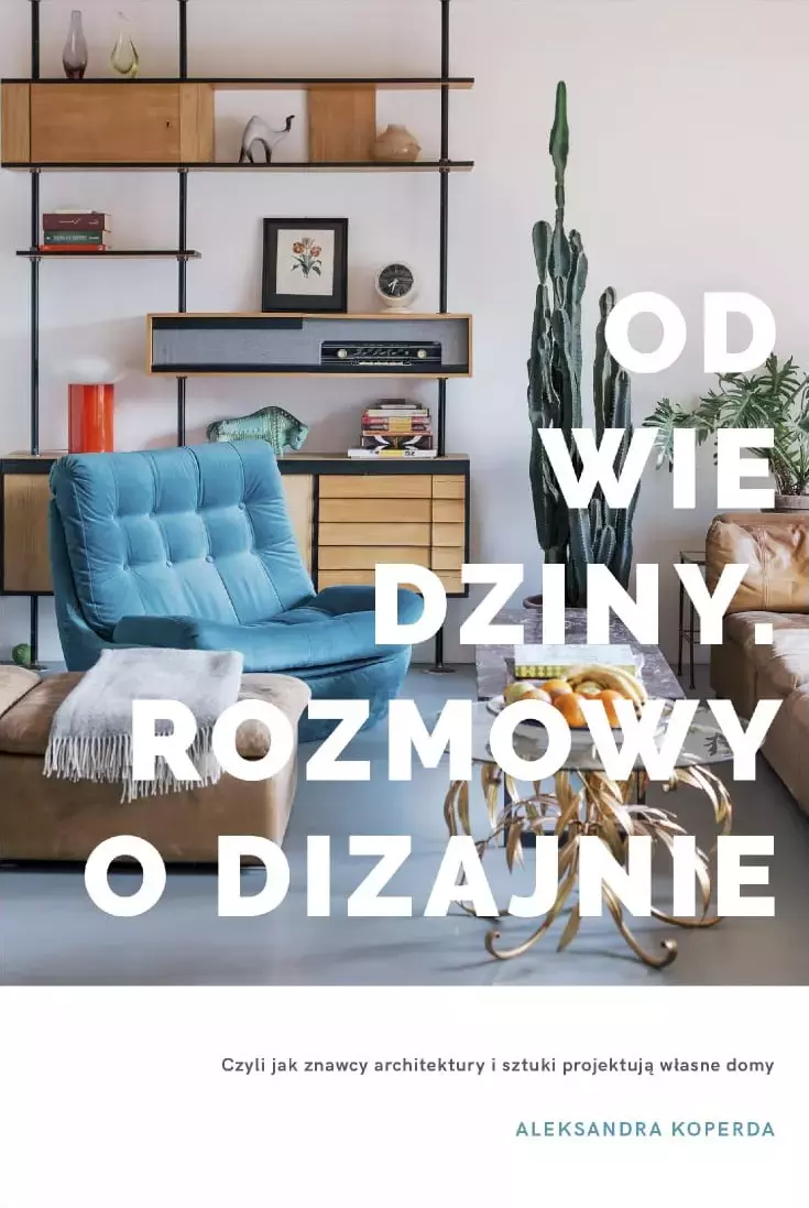 Odwiedziny. Rozmowy o dizajnie - Książki