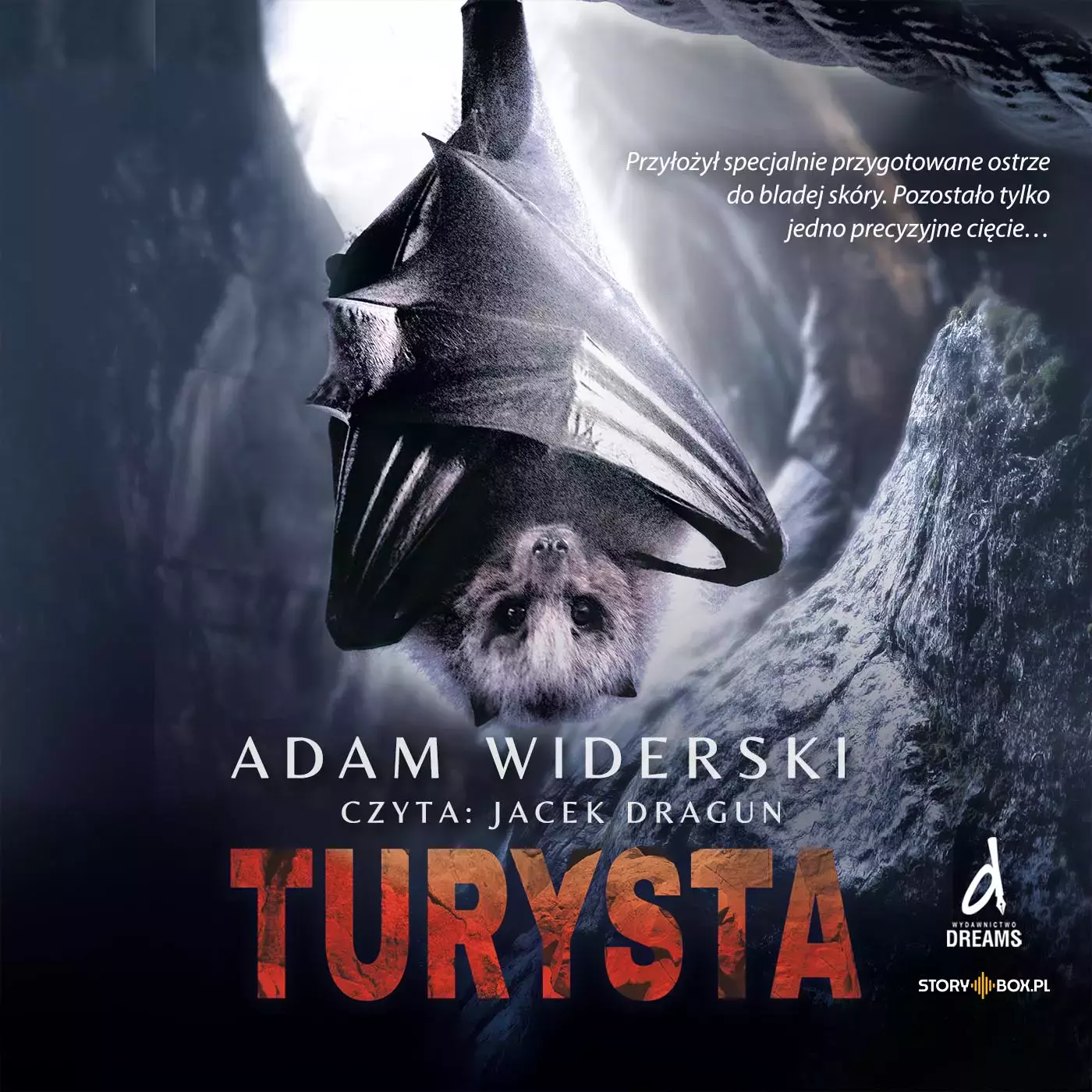 CD MP3 Turysta - Audiobooki