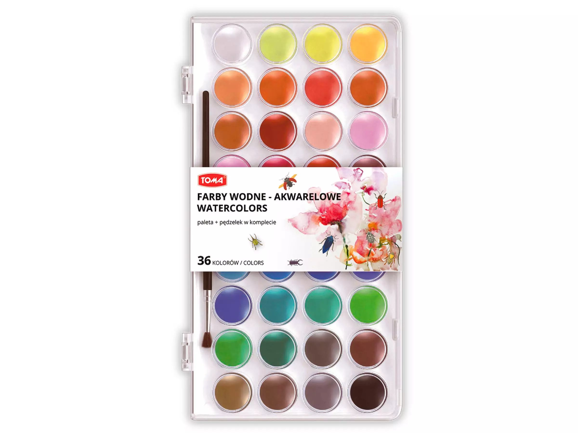 Farbki wodne, paleta