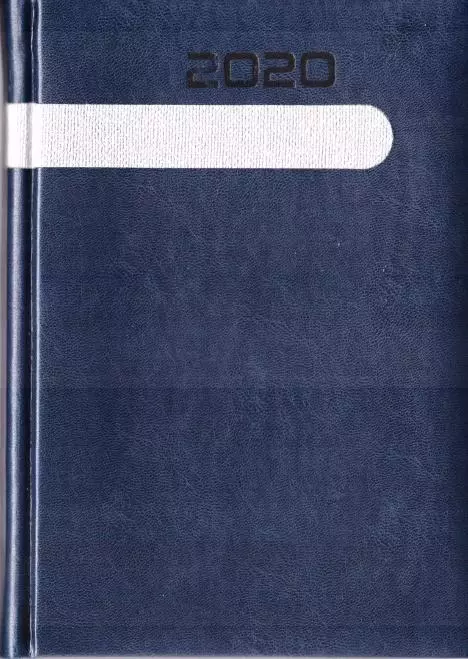 Kalendarz 2020 Książkowy Dzienny A5 SK2-1 - Książki