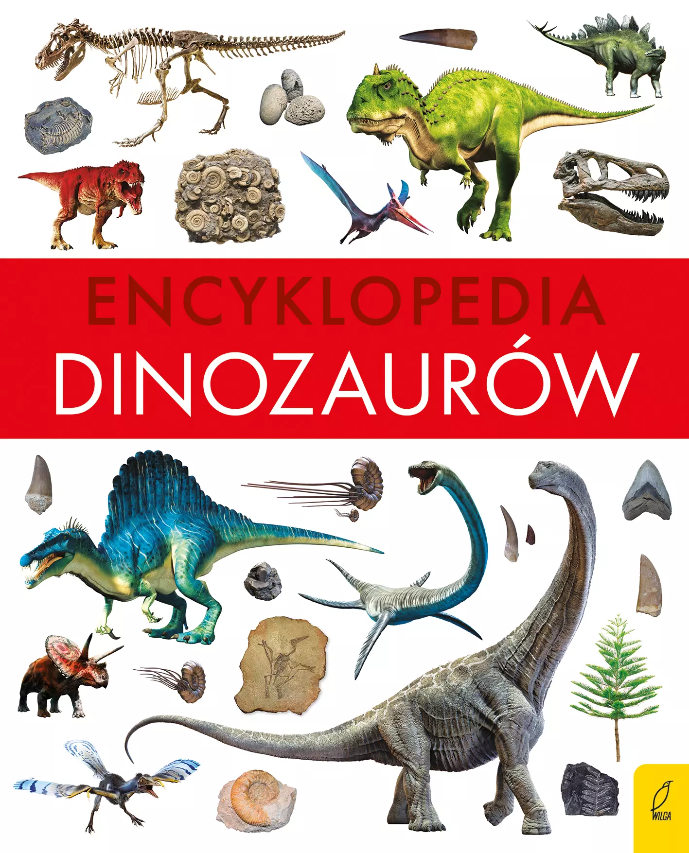 Encyklopedia dinozaurów - Książki
