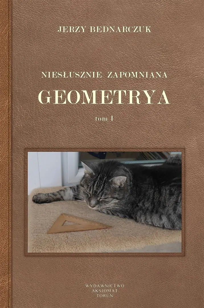 Niesłusznie zapomniana geometrya T.1 - Książki