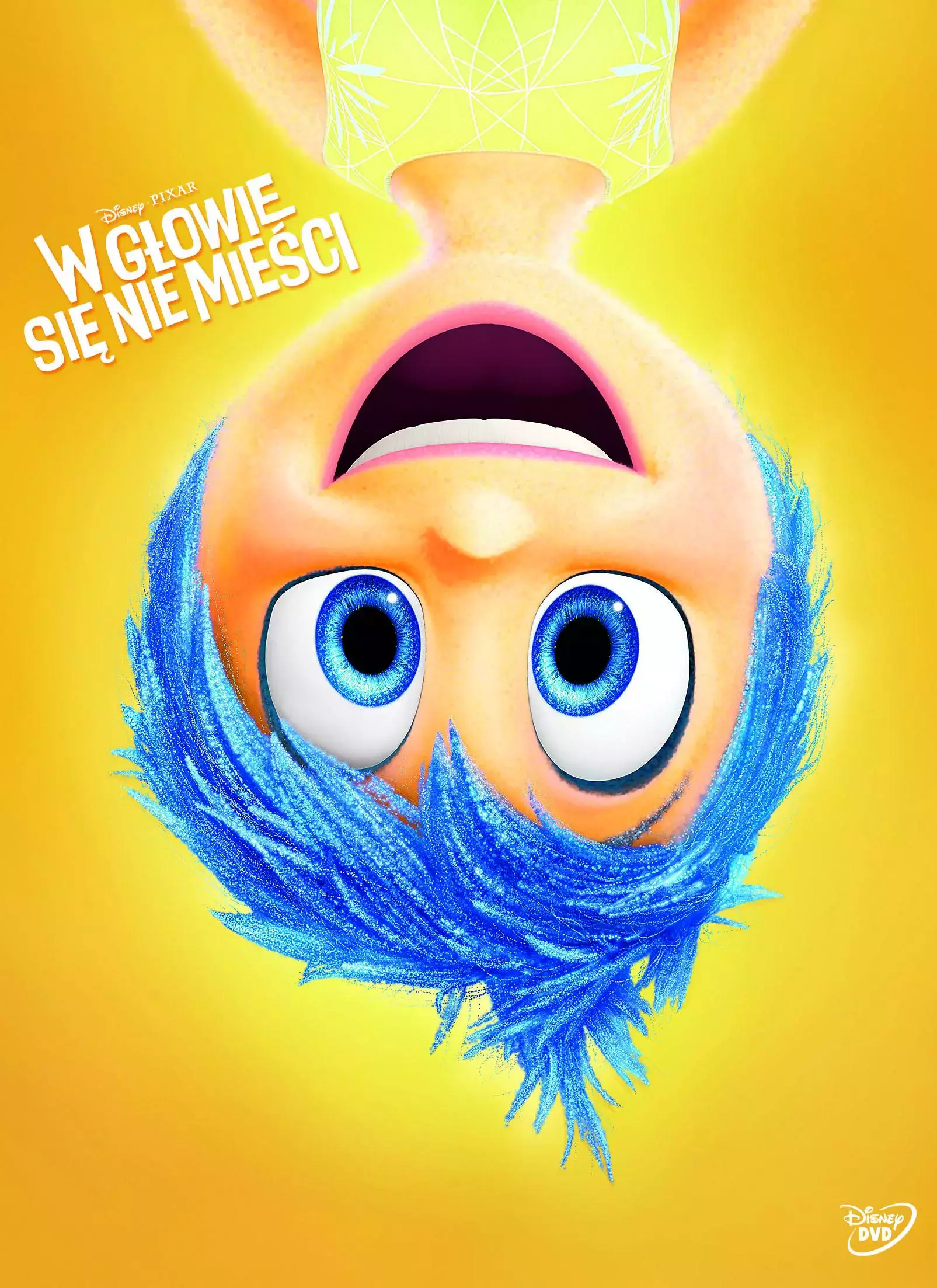 W głowie się nie mieści, DVD - Filmy