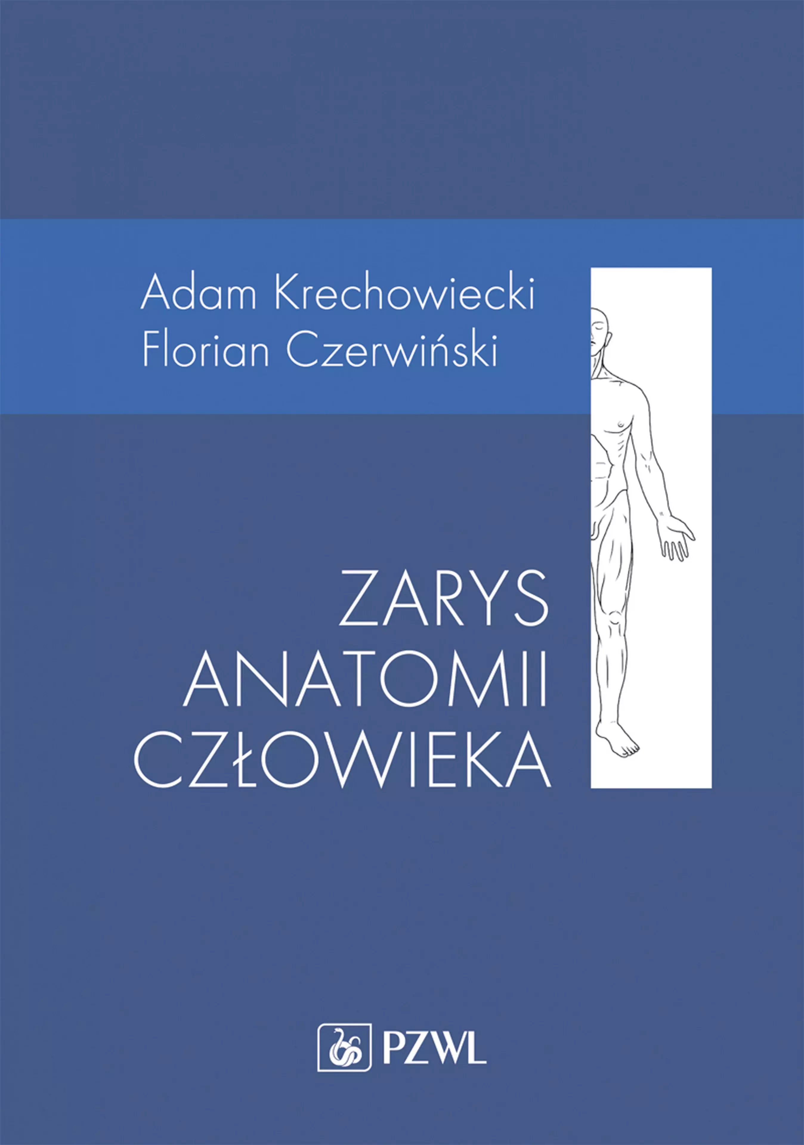 Zarys anatomii człowieka - Książki