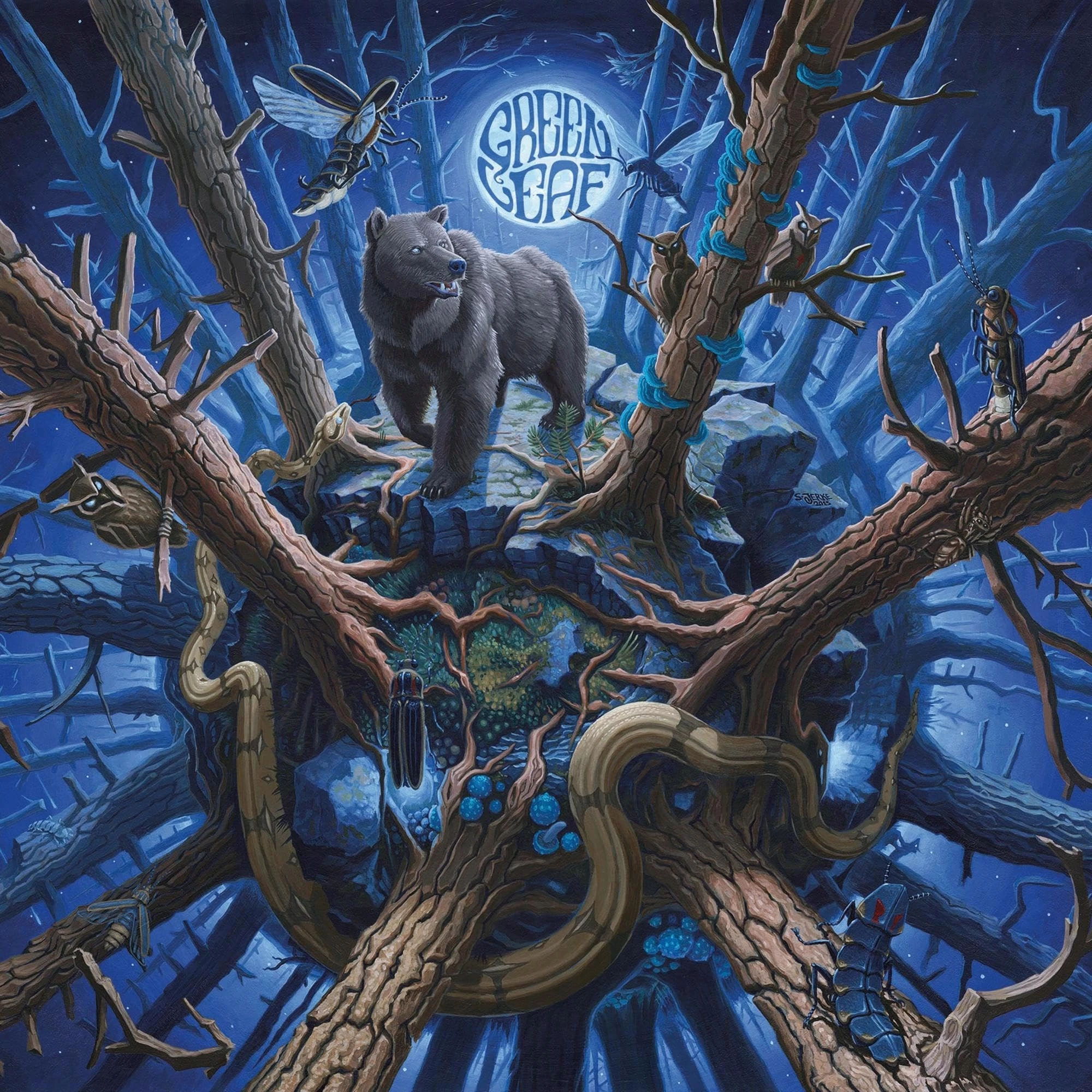 Rise Above The Meadow (Limited Edition), CD - Muzyka