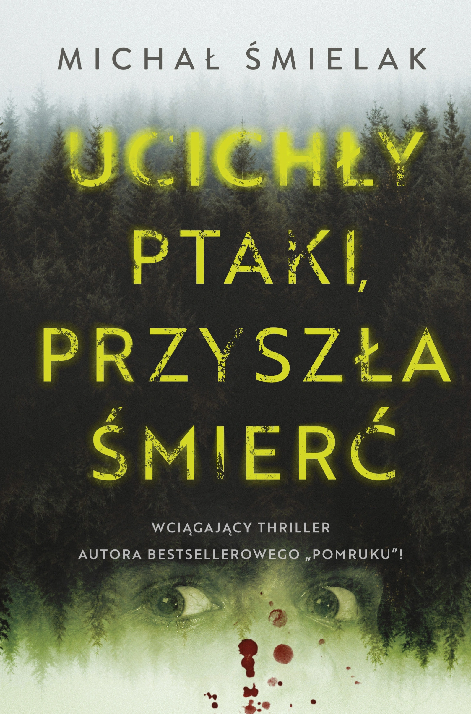 Ucichły ptaki, przyszła śmierć - Książki