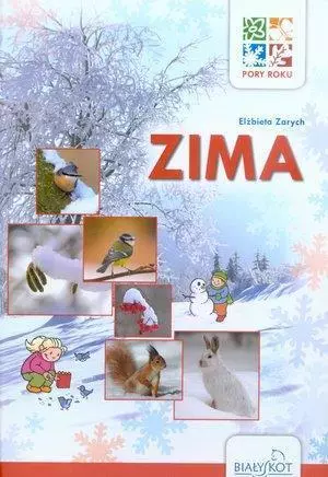 Zima. Pory roku - Książki