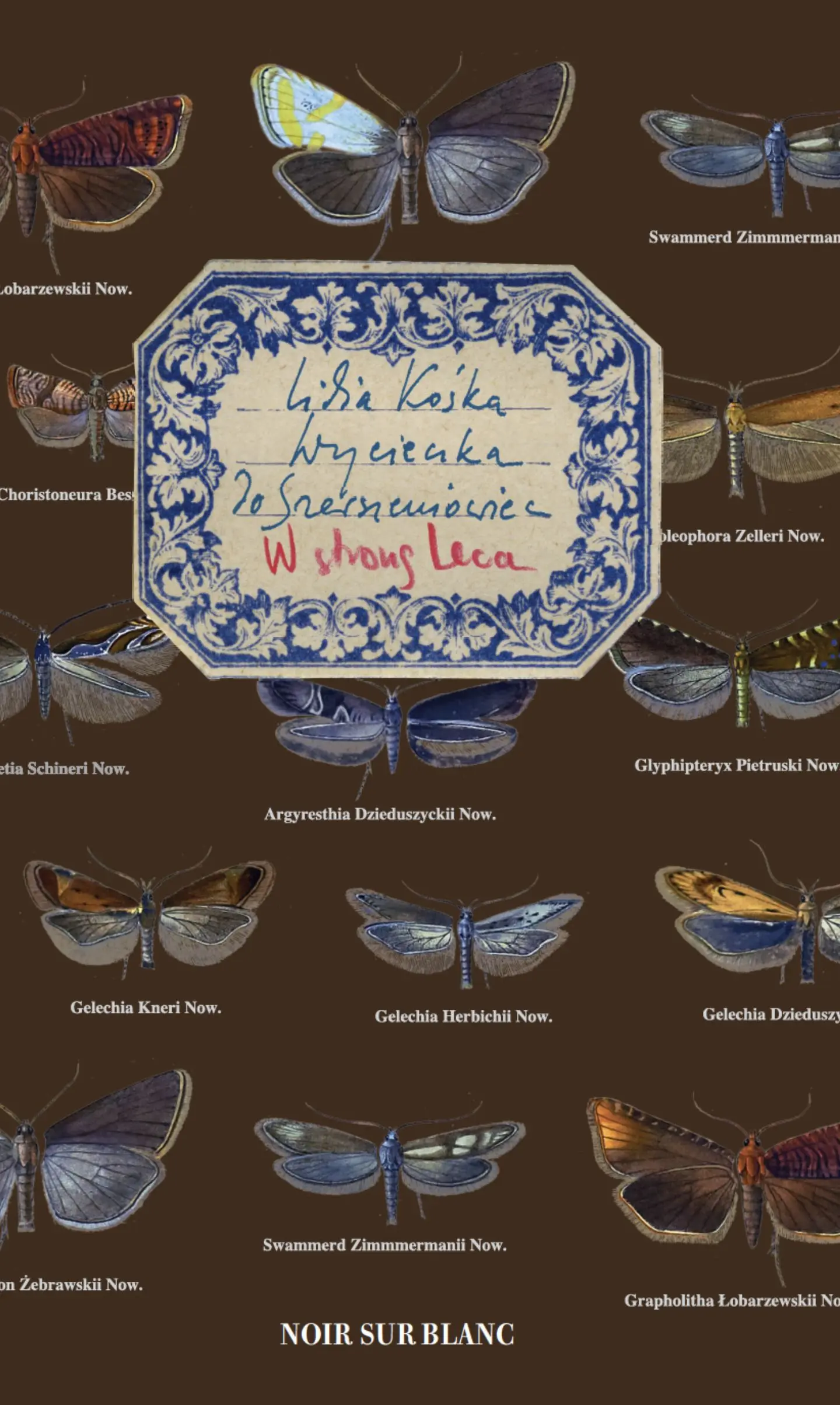 Wycieczka do Szerszeniowiec - Książki