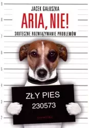 Aria, nie! Skuteczne rozwiązywanie problemów - Książki