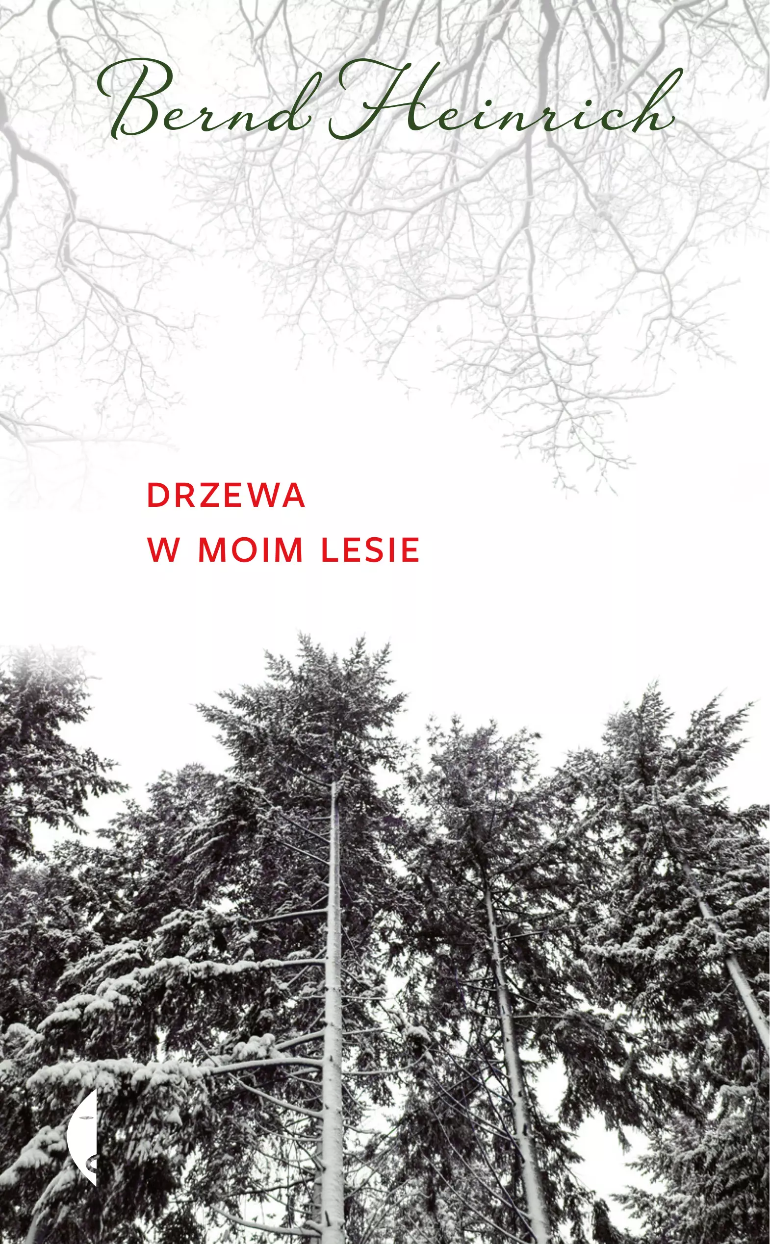 Drzewa w moim lesie
