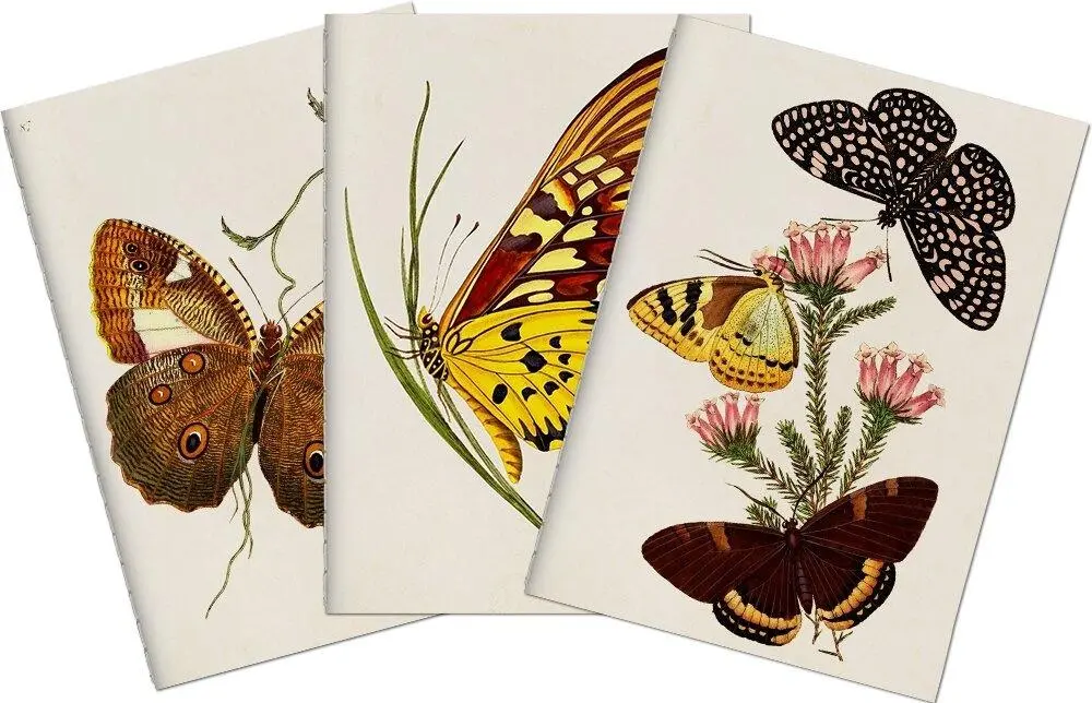 Stone 512 Zestaw 3 notatników A6 - motyle - Papiernicze i szkolne